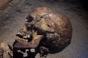 A well-preserved, ancient human skull rests on sandy ground, revealing details of its weathered bone structure.