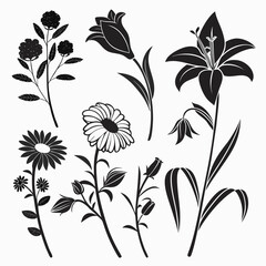 Collection of black silhouette flowers and botanical elements isolated on white background