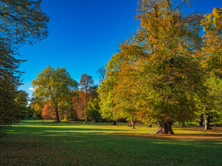 Autumn Colors Frederiksberg Haven Copenhagen