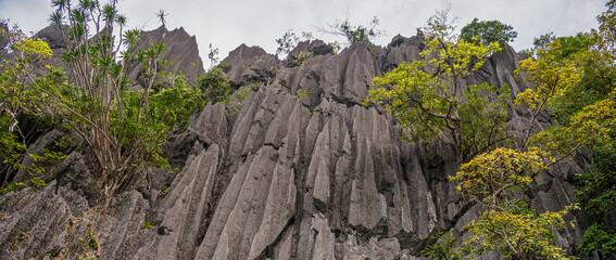 Close up on the sharp black limestone cliffs of Coron, Palawan, Philippines