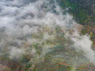 Yuanyang Duoyishu terrace, Yuanyang County, Honghe Prefecture, Yunnan province, China.