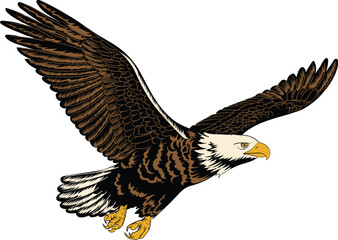 Bald Eagle Flying Vector Illustration Image Stock