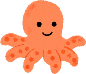 octopus