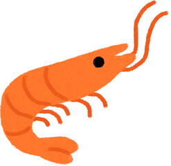 shrimp