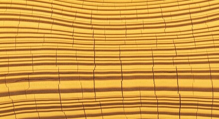 Closeup of cracked yellow ground with wavy brown stripe pattern running horizontally