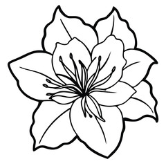 Fototapeta premium azalea-isolated-on-pure-white-background.eps