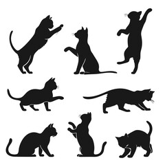 Collection of black cat silhouettes in various playful and active poses against a clean white background