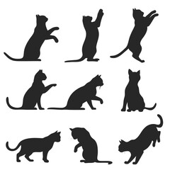 Collection of nine black cat silhouettes in various playful and resting poses against a white background showcasing feline movement and anatomy