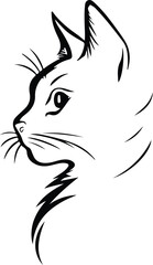 Playful cat illustration with vibrant colors