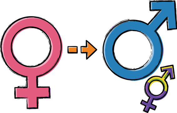 Transgender Transformation: Gender Identity Transition Illustration Depicting Female to Male Journey in Social Issues and LGBTQ+ Community Representation on White Background for Awareness Campaigns &