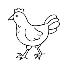 Chicken walk icon doodle hand drawn. Outline line chicken drawing clipart symbol