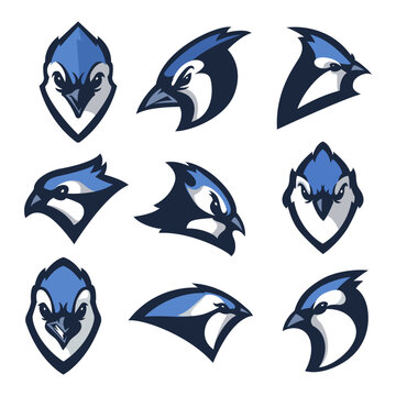 Collection of fierce blue jay bird head mascots, a vector illustration set for sports team logo design and emblems 
