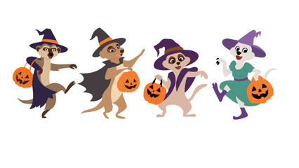 halloween witch and pumpkin