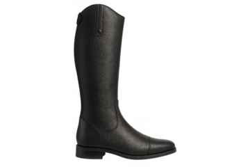 Black leather riding boot, equestrian footwear for horse riding, classic knee-high jodhpur boot on transparent background