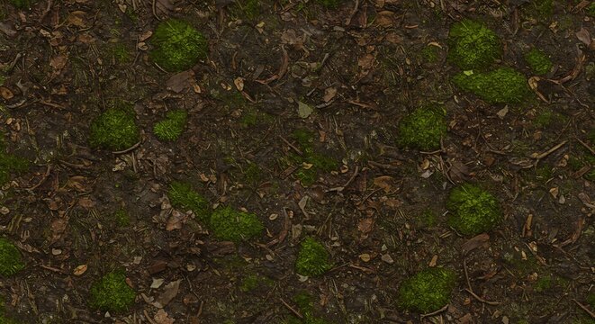 Muddy ground covered with scattered leaves twigs and patches of green moss