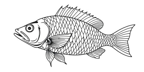 Fototapeta premium Elegant line drawing of a stylized fish, intricate details, black on white, marine, wildlife
