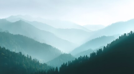 Obraz premium Fog blankets mountain range obscuring trees trees dot rugged mountain landscape engulfed by swirling fog