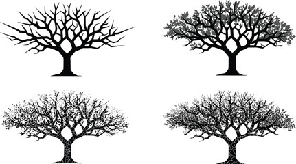 Obraz premium Four seasonal tree silhouettes showing winter, spring, summer, and autumn transition, detailed vector illustration, nature growth and seasonal change concept