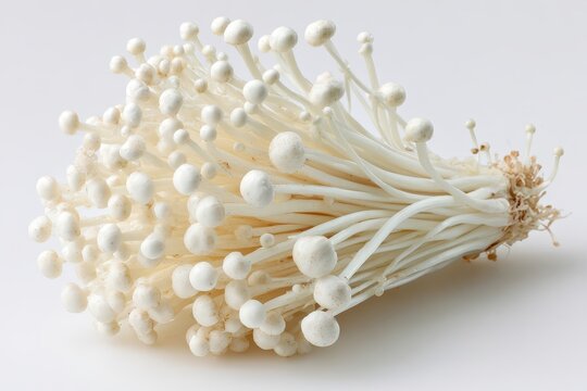 A cluster of fresh, raw enoki mushrooms lies on a bright white background. Use this image for healthy recipes and the benefits of asian cuisine.