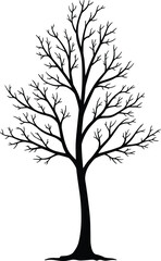 Bare tree silhouette vector illustration, isolated leafless tree design, natural winter tree graphic for landscape, forest art and decoration projects