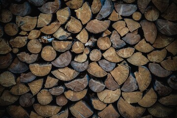 pile of wood in a stack
