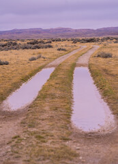Country dirt road in Wyoming field