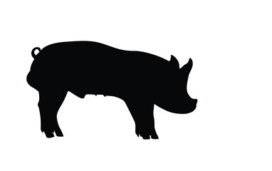 Male pig silhouette, pig vector illustration, pig outline, isolated on white background.