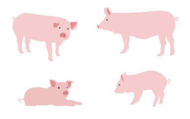 Pink pig, vector illustration of a pig, isolated on white background.