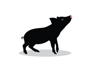 Pig Vector Illustration of Pig Isolated on White Background