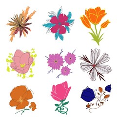 set of flowers and leaves