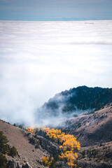 Cloudy views from Medicine Wheel pass in Wyoming