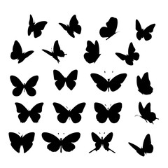 Collection of black butterfly silhouettes in various poses