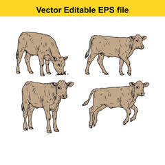 Vector art of set of four brown and beige illustrations of cows and calves