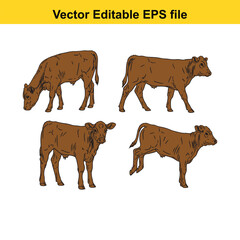 Vector art of collection of four calves depicted in different poses, , vector graphic
