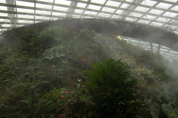 Interior of the Flower Dome in the Gardens by the Bay nature park in Singapore