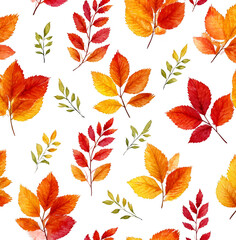 Obraz premium A watercolor painting of autumn leaves with a white background
