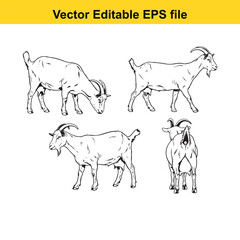 Vector art of set of four line art goats in different poses
