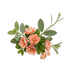Fototapeta premium Peach Camellia Flowers and Green Leaves isolated on a transparent background