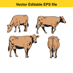 Vector art of four dairy cows in different poses