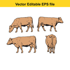 Vector art of set of four brown cows in different poses