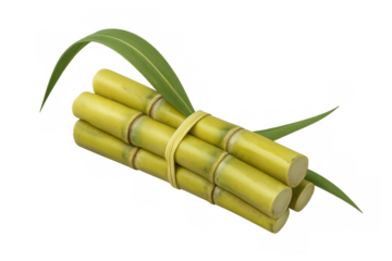Sugarcane stalks tied together with green leaves, naturally sweet crop used for sugar production, transparent background