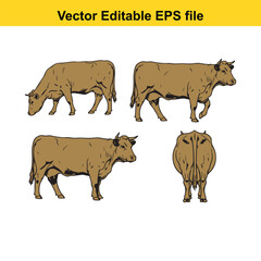 Vector art of set of four tan cow illustrations showing different angles