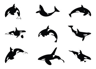 Set of Whale Silhouettes, Orca, Illustration, Vector
