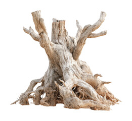 Wooden tree stump installation nature sculpture isolated on transparent background