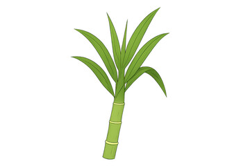 Naklejka premium Sugarcane plant stem with green leaves growing, natural agriculture crop producing sugar, cartoon drawing
