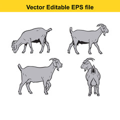 Vector art of set of four grey goat line drawings in different poses