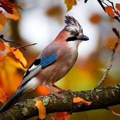 A colorful bird, perched on a branch in a vivid autumn scene