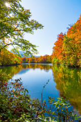 鎌池　秋　紅葉