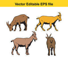 Vector art of set of four goats in different poses, isolated on a