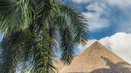 The crown of a royal palm tree Roystonea regia and triangular thatched roofs against a background of blue sky and clouds. Lush spreading green leaves. A sunny day. Cuba. Varadero.